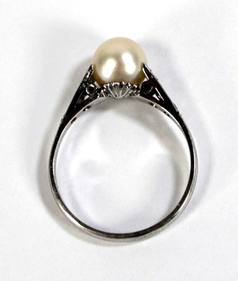 Lot 598 - A 9ct white gold ring set cultured pearl, ring...