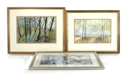 Lot 126 - Sandra Bright (contemporary), A woodland...