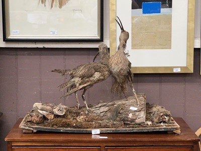 Lot 65 - A Stafford diorama