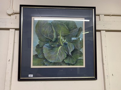 Lot 20 - Framed picture, cabbage leaves