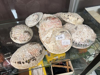 Lot 379 - A collection of eleven shells