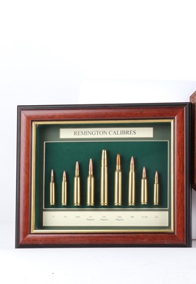 Lot 1101 - Seven framed and glazed prototype rifle...