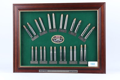 Lot 1102 - Framed and glazed display of Norma African PH...