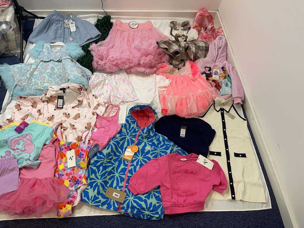 Lot Branded girls clothing ages 2+