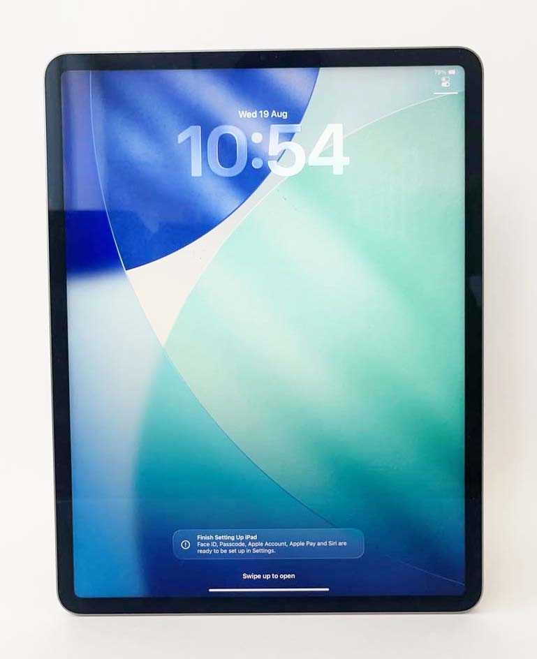 Lot iPad Pro 12.9" 6th Gen 256GB Space Grey