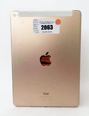 Lot iPad Air 2 16GB Gold (WiFi & Cellular)