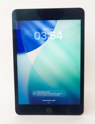 Lot iPad Mini 5 256GB Space Grey (WiFi & Cellular)