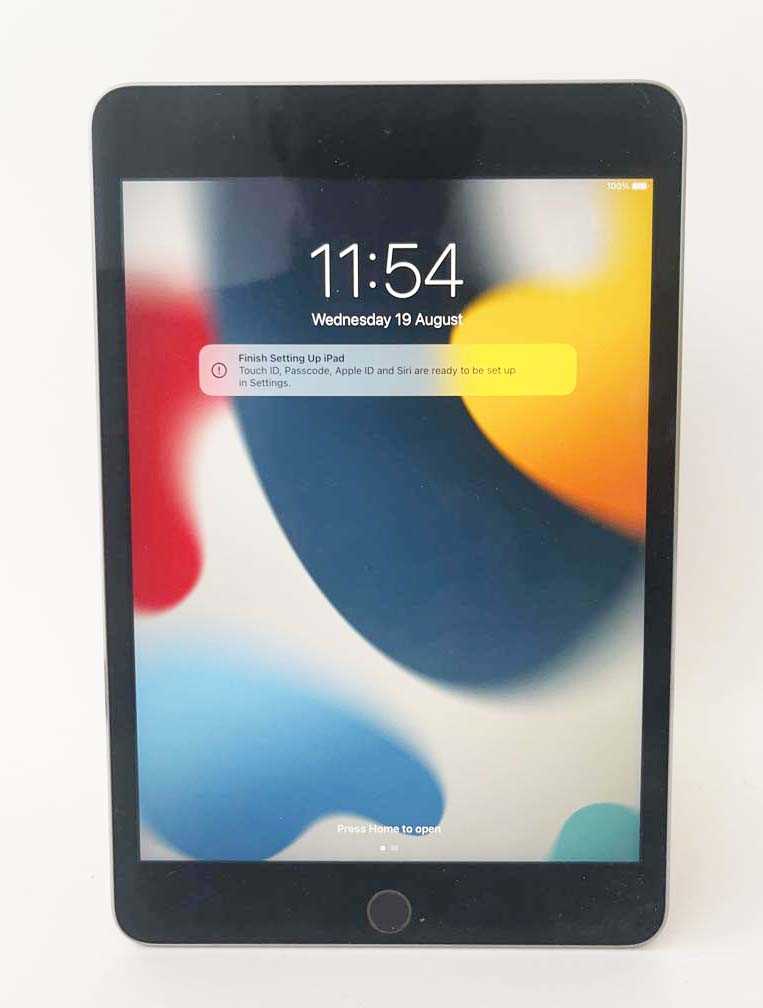 Lot iPad Mini 4 128GB Space Grey
