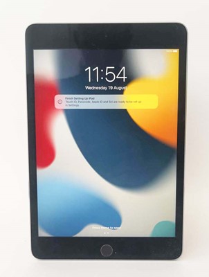 Lot iPad Mini 4 128GB Space Grey