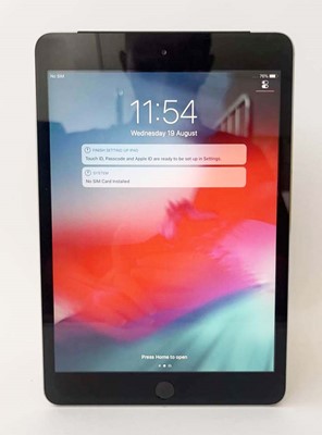 Lot iPad Mini 3 16GB Space Grey (WiFi & Cellular)