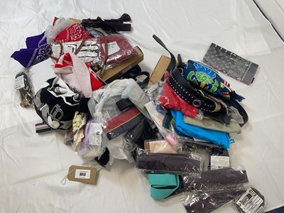 Lot 3813 - Various accessories