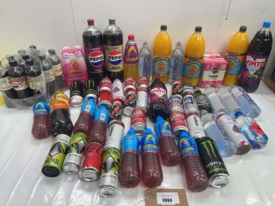 Lot 3860 - 2 bags of drinks including Tenzing, Kombucha,...