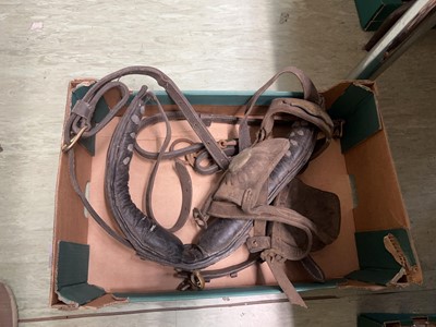 Lot 455 - A tray containing a horse harness