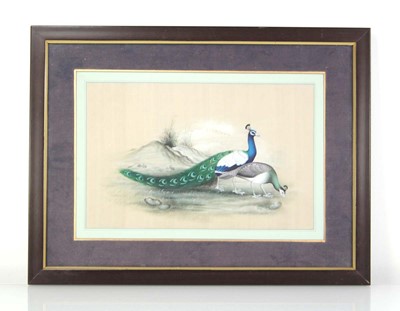Lot 125 - Chinese Export, A study of a peacock and hen,...