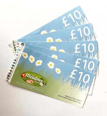 Lot 83 - Mini Meadows Farm (x5) - Total face value £50