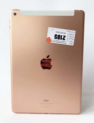 Lot iPad 7th Gen 32GB Gold (WiFi & Cellular)
