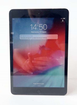 Lot iPad Mini 5 32GB Space Grey