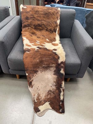 Lot 5237 - Cows hide