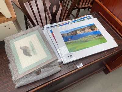 Lot 5288 - Quantity of golfing, bird and surreal prints