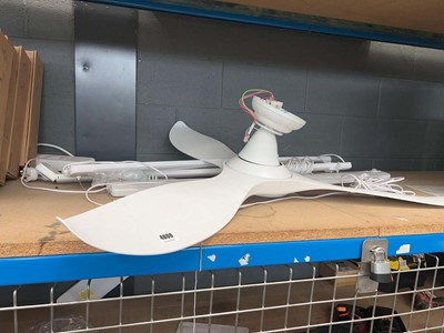 Lot 4806 - ceiling fan