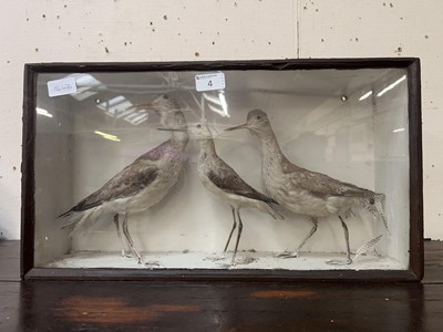 Lot 4 - A boxed display of bird taxidermy
