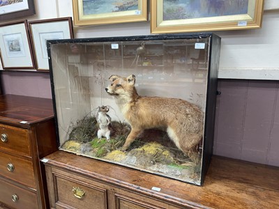 Lot 43 - Cased taxidermy with fox and squirrel