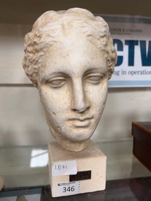Lot 346 - Plaster bust on mount, marbled, of Yreia