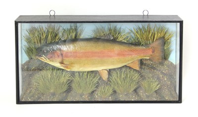 Lot 130 - Taxidermy: an early 20th century example of a...