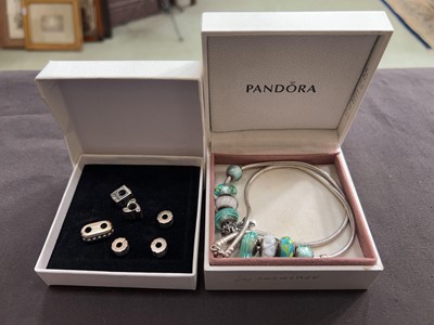 Lot 410 - Two Pandora boxes containing Pandora necklace...