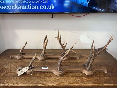 Lot 1006 - 2 coat hooks with antler hooks