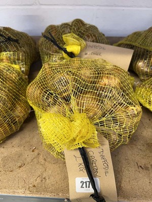 Lot 2171 - 2x 1Kg nets of daffodil bulbs to include...