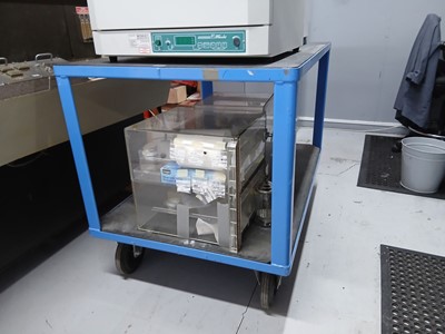 Lot 214 - 125cm x 80cm platform blue metal frame 2 tier...