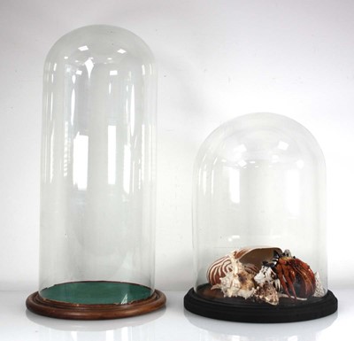 Lot 48 - Two glass domes, max h. 57 cm, one containing...