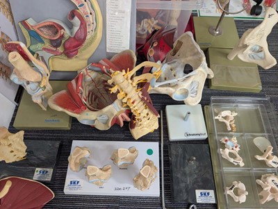 Lot A range of medical practitioner related tools...