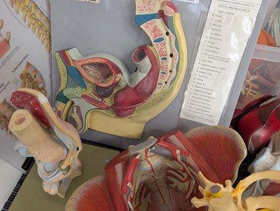 Lot A range of medical practitioner related tools...