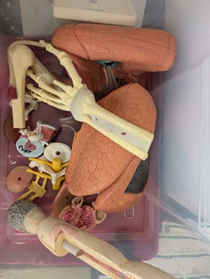 Lot A range of medical practitioner related tools...