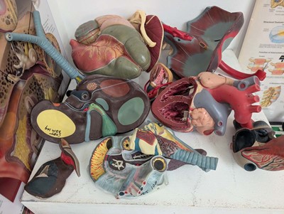Lot A range of medical practitioner related tools...