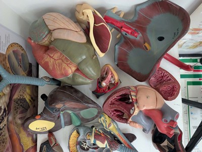 Lot A range of medical practitioner related tools...