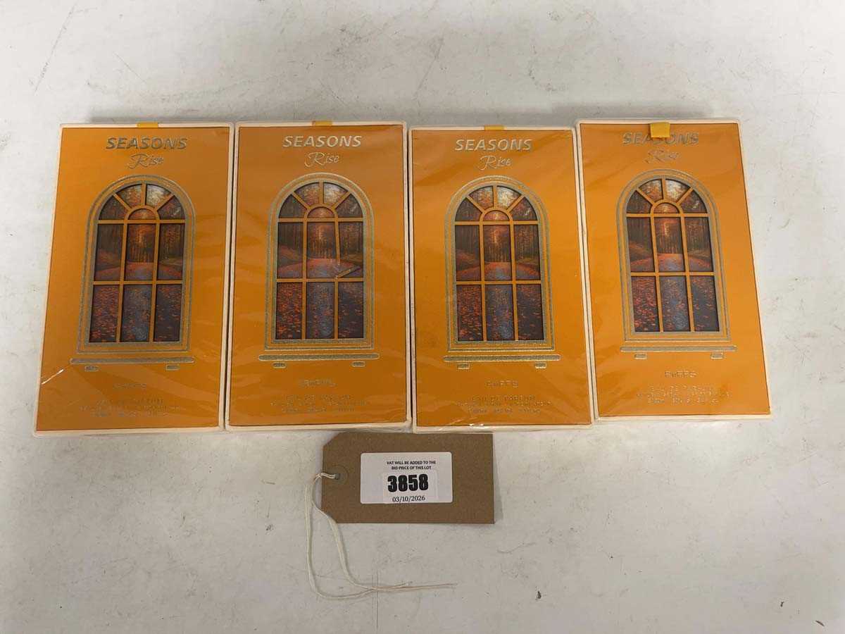 Lot 4x Riiffs seasons rise eau de parfum 100ml
