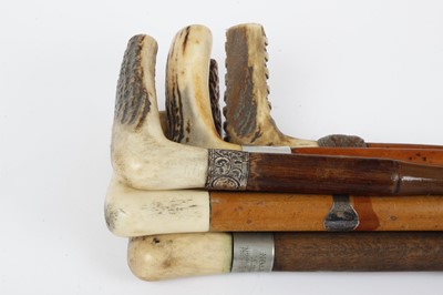 Lot 1039 - Six various horn-handled vintage walking...